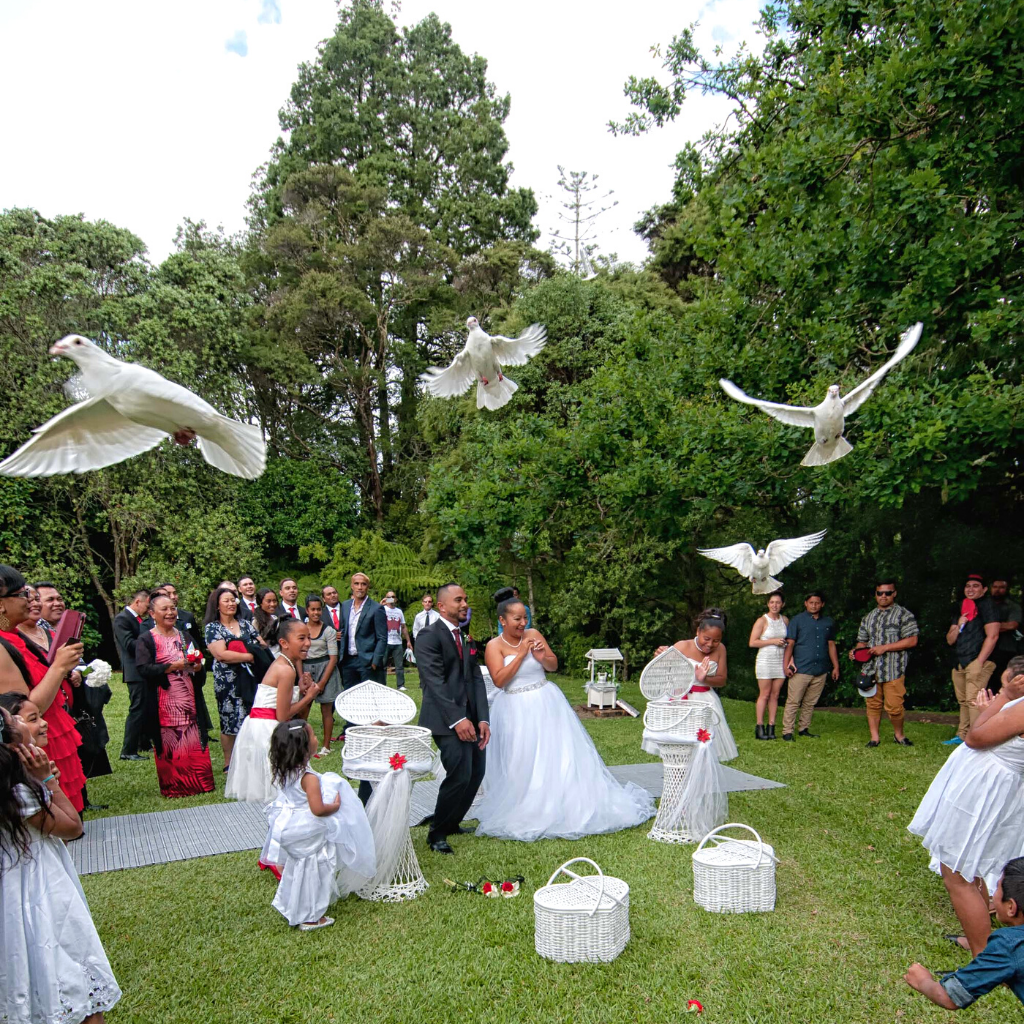 wedding coordination nz