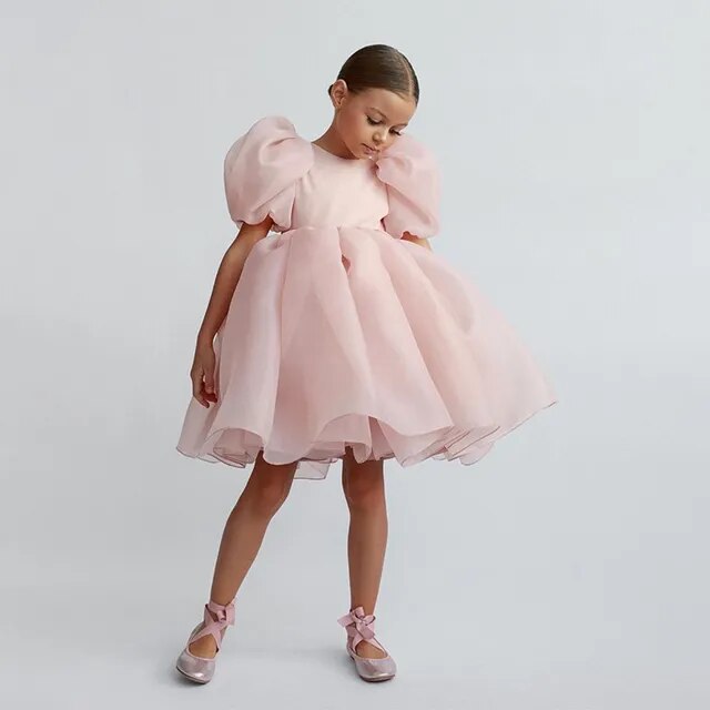 Enchanted Princess Pink Tulle Tutu Dress Front 