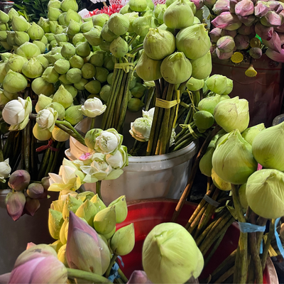 The Bloom Ritual – Wedding Floral Packages